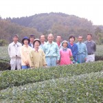 ＪＡかみましき矢部無農薬茶の会