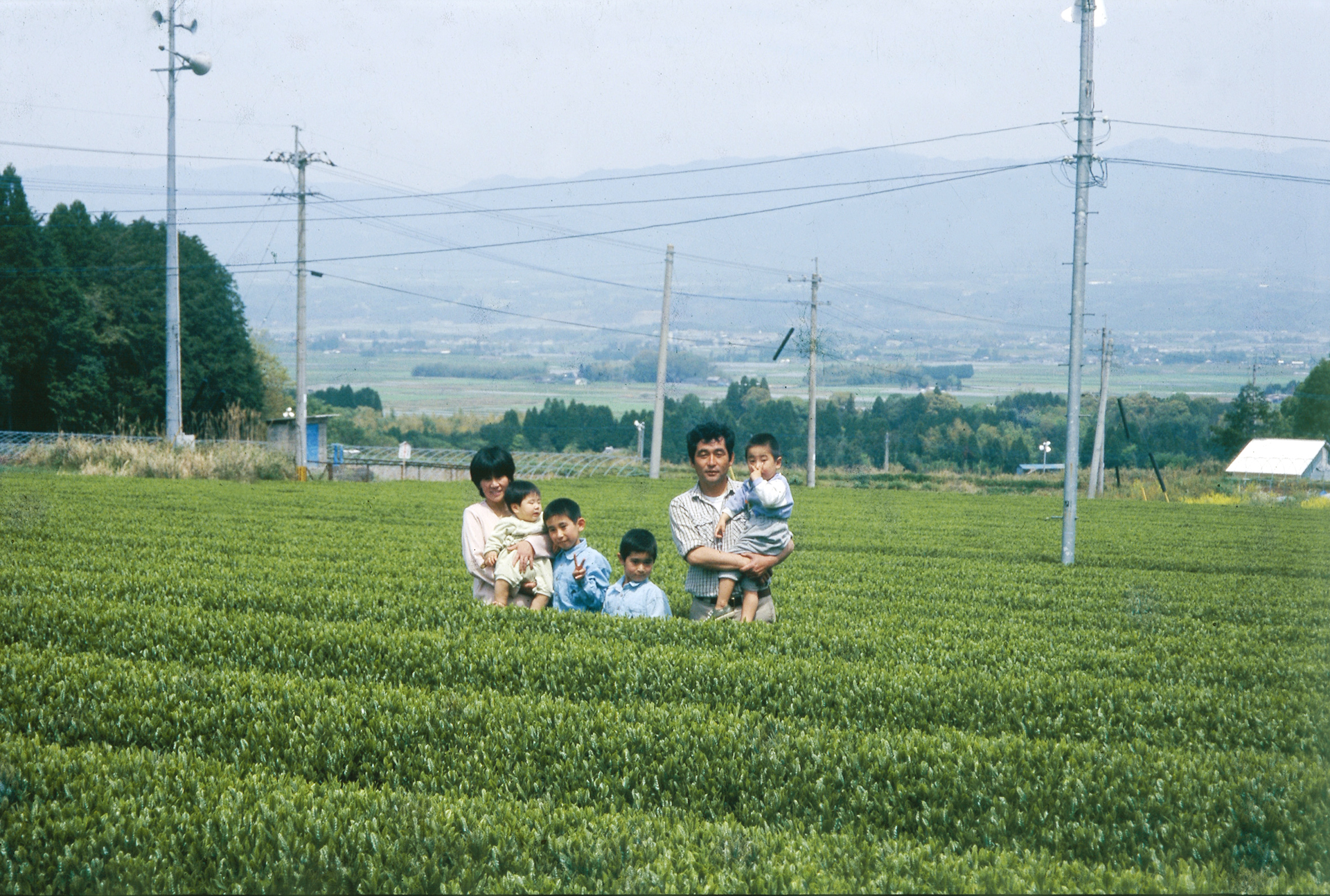 合資会社　松本製茶