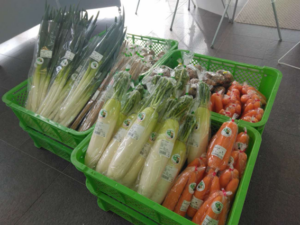 グランメッセ熊本でくまもとグリーン農業をPR!